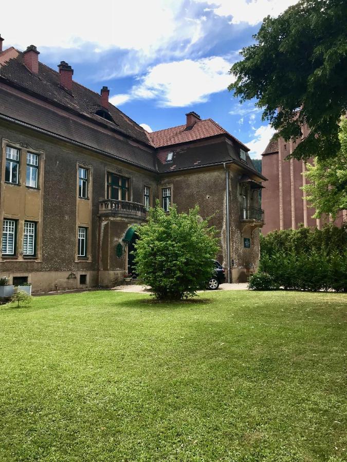 Apartment Im Grunen Leoben  Buitenkant foto